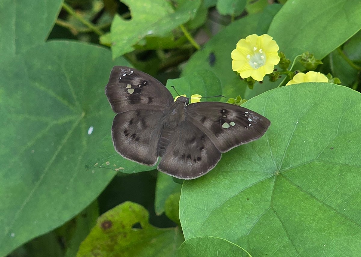 Glimpses of Rural Bangladesh: Nature, Heritage, and Livelihoods in Motion