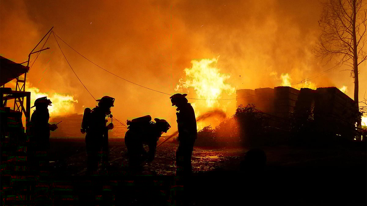 Firefighters try to stop the fire as the worst wildfires in Chile`s modern history are ravaging wide swaths of the country`s central-south regions, in Santa Olga, Chile January 26, 2017. Photo: Reuters