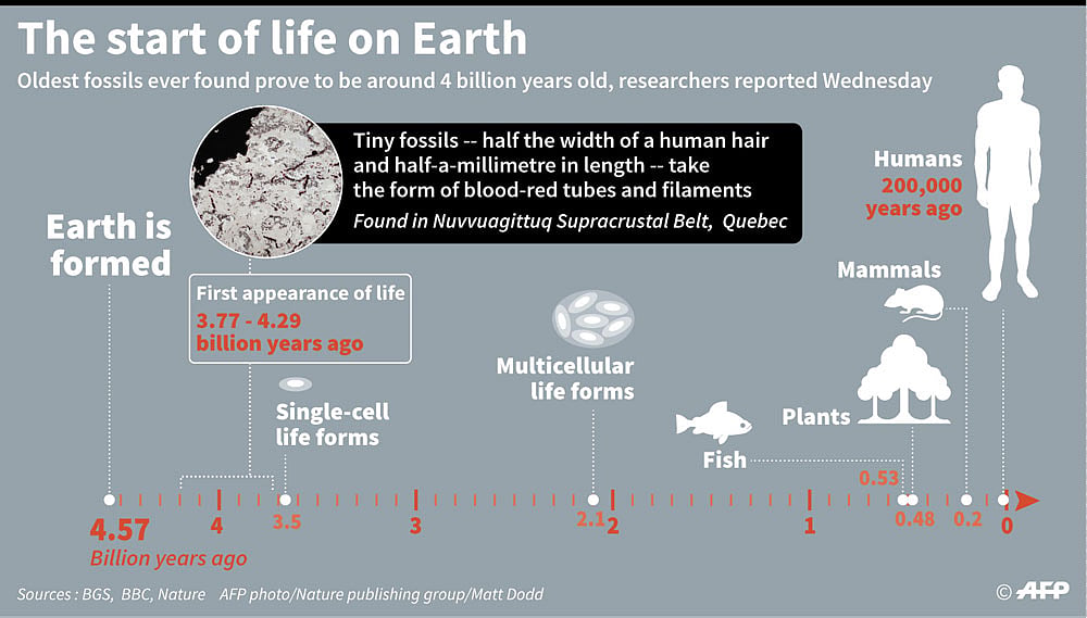 Fossils point to life on Earth 4 billion years ago | Prothom Alo