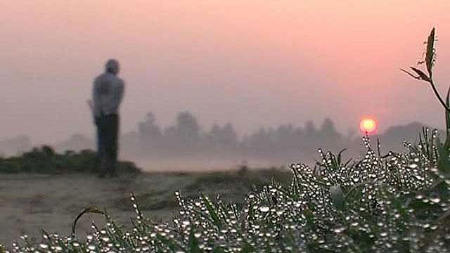 Dew gathered in the blades of grass due to fall in temperature