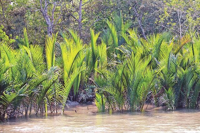 Encroachment of industries threatening the existence of the Sundarbans and its biodiversity. The photo is recently taken from Dhangmari area in Dacope, Khulna.