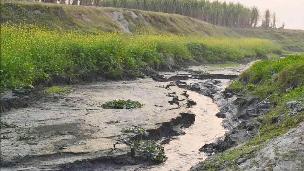 কারখানার দূষিত পানি