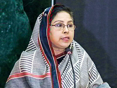 মেহের আফরোজ চুমকি l ফাইল ছবি