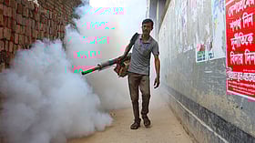 ঢাকা দক্ষিণ সিটিতে অভিযানে মরছে না মশা, উপায় খুঁজতে কমিটি