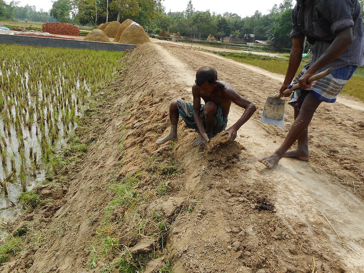 কাজের বিনিময়ে খাদ্য (কাবিখা) কর্মসূচি