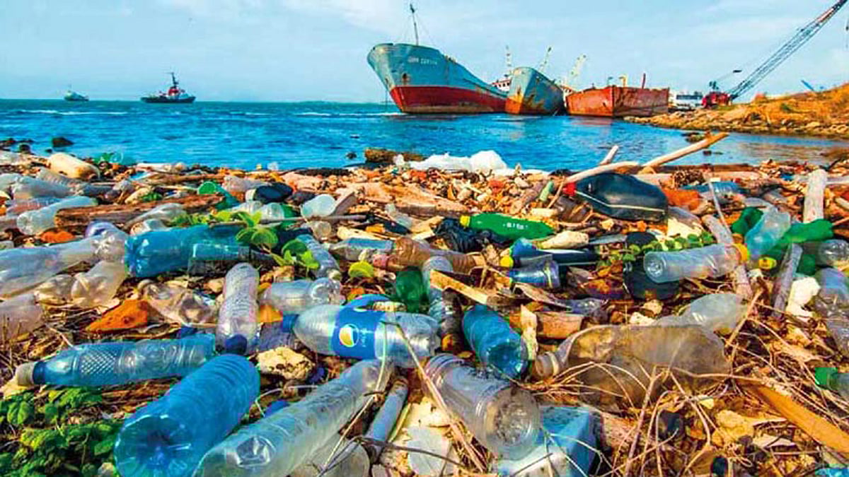 সমুদ্রে প্লাস্টিক বর্জ্য ফেলার কারণে পরিবেশগত ঝুঁকি তৈরি হচ্ছে