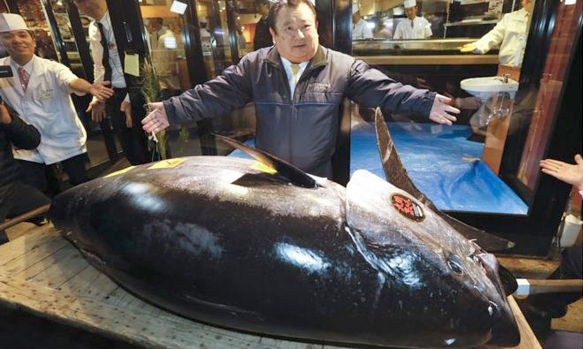 টুনা মাছ