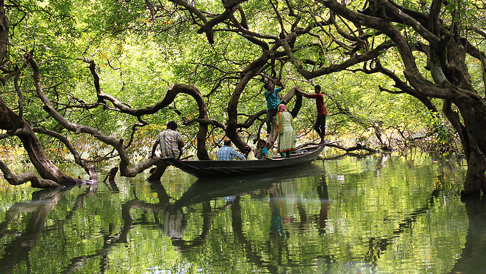 রাতারগুল জলাবন | বন্ধুসভা