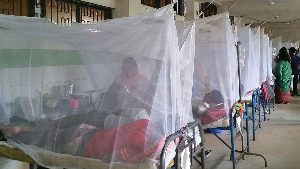 ডেঙ্গু যেন ছড়িয়ে না পড়ে সে জন্য হাসপাতালে মশারি টানিয়ে রোগীদের চিকিৎসা দেওয়া হচ্ছে