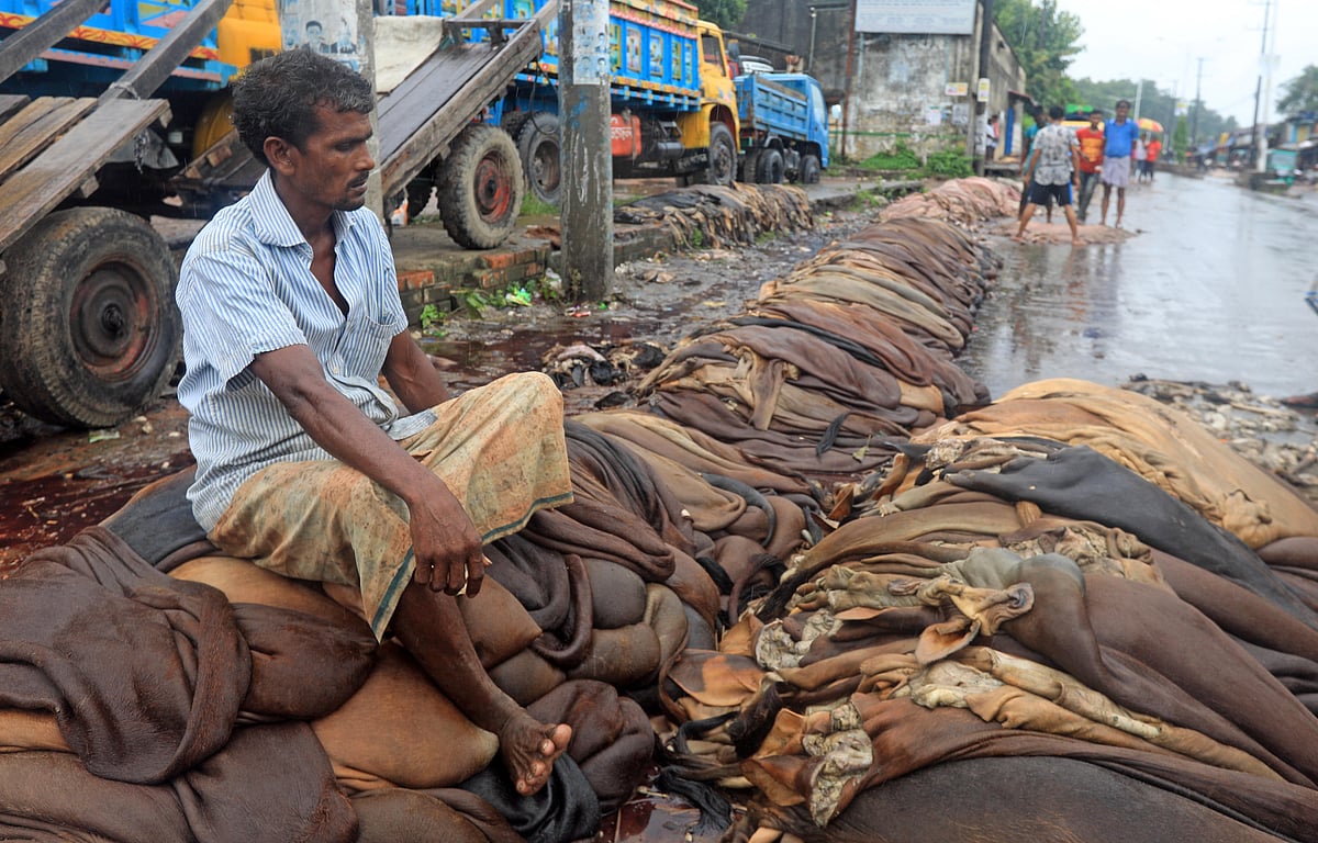 দেশের বাজারে কাঁচা চামড়ার দাম কম
