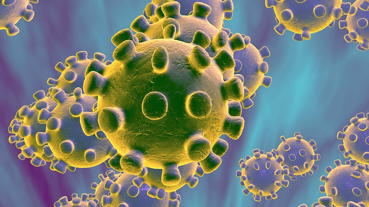 করোনাভাইরাস