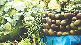 মধ্যপ্রাচ্য ও ইউরোপে সবজি রপ্তানি প্রায় বন্ধ