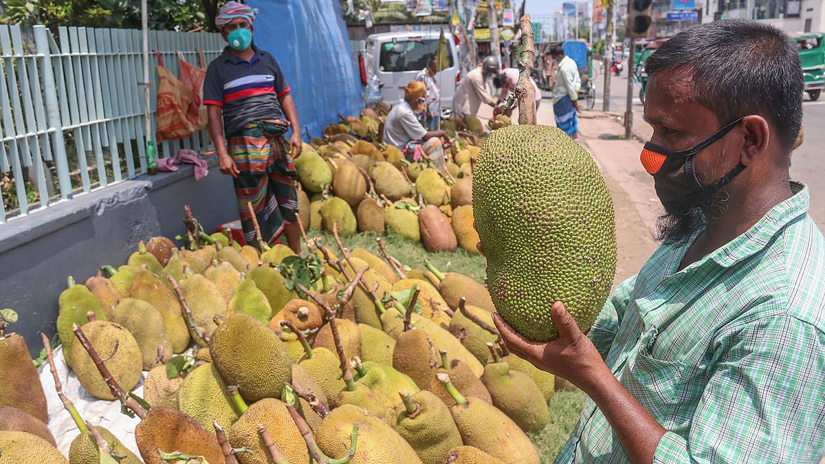 যশোরের বসুন্দিয়া থেকে মৌসুমি ফল কাঁঠাল এনে বিক্রি করছেন বিক্রেতা